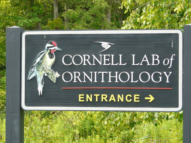 cornell sign