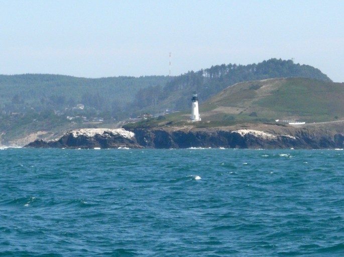 yaquina head