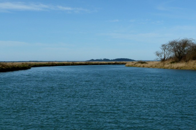 tillamook wetlands 2