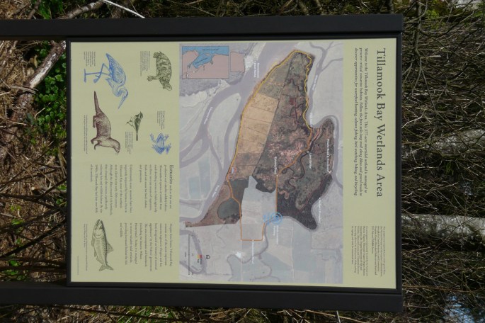 tillamook wetlands sign 1