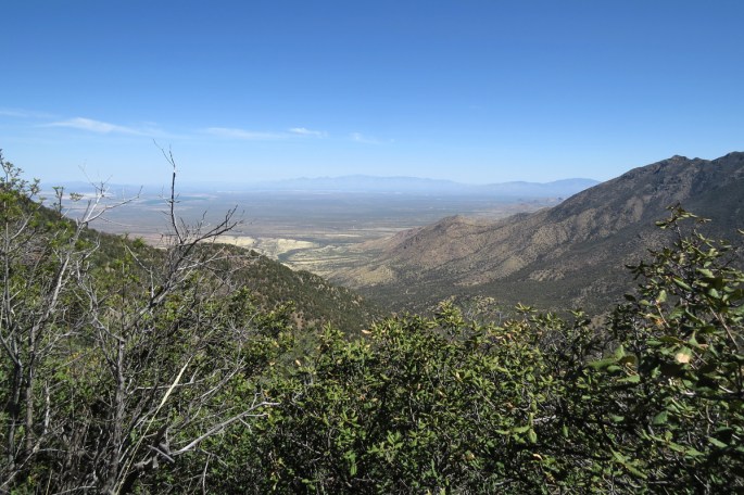 top of Madera Canyon